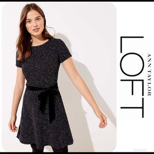 NWT LOFT Textured Velvet Belted Dress Sz 10T $90!